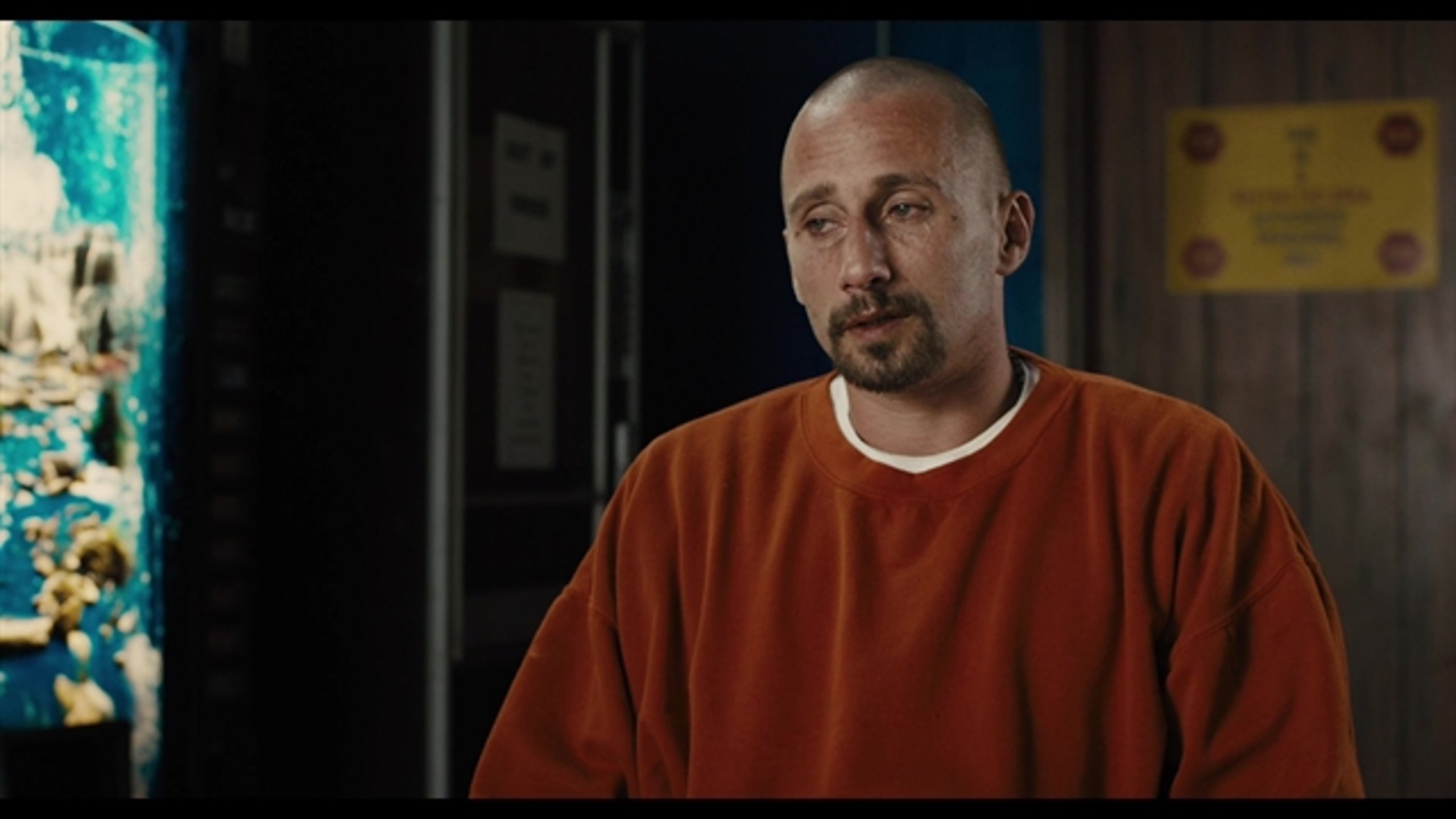 The Mustang - Thumbnail