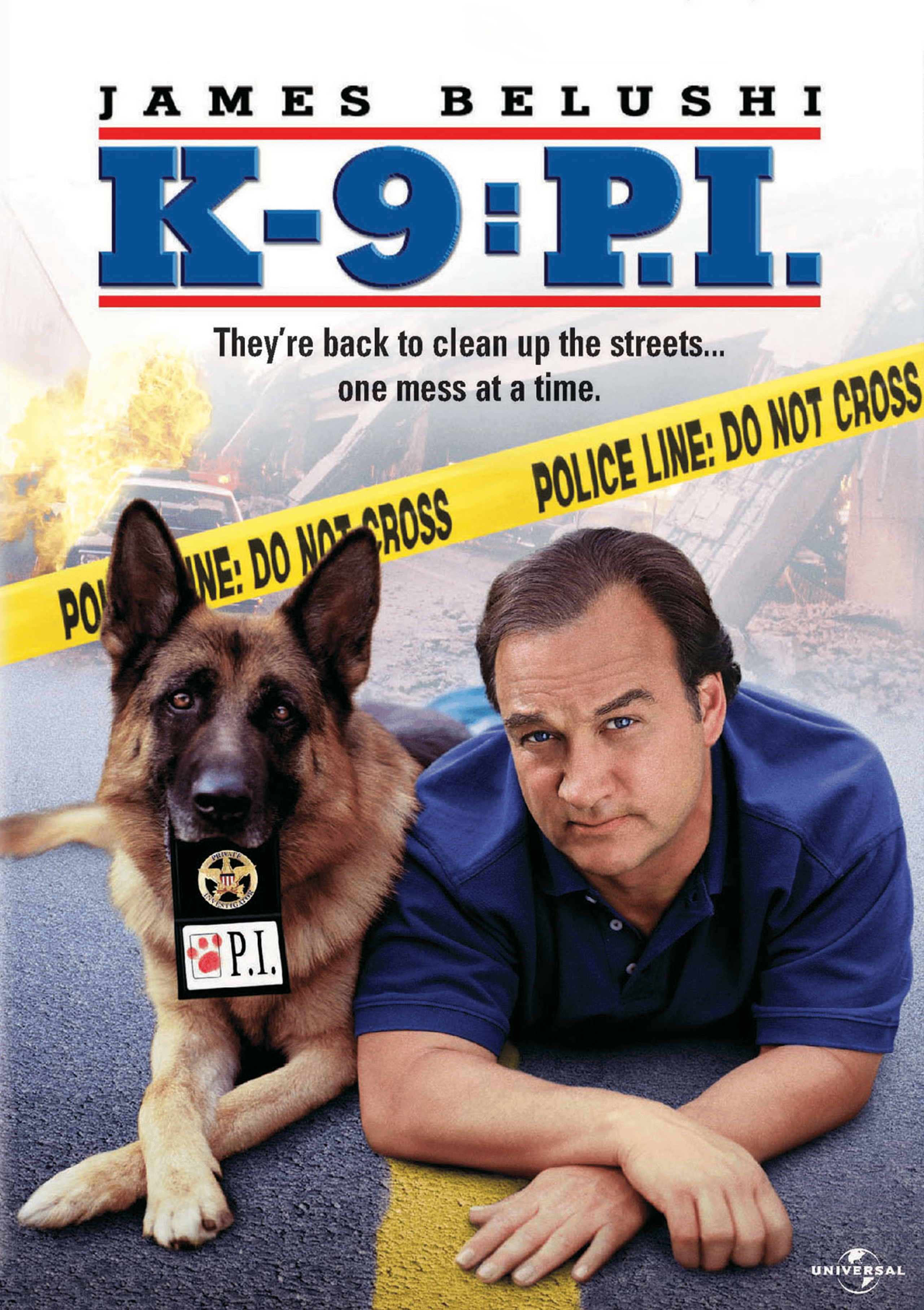 K9PI_Poster.png