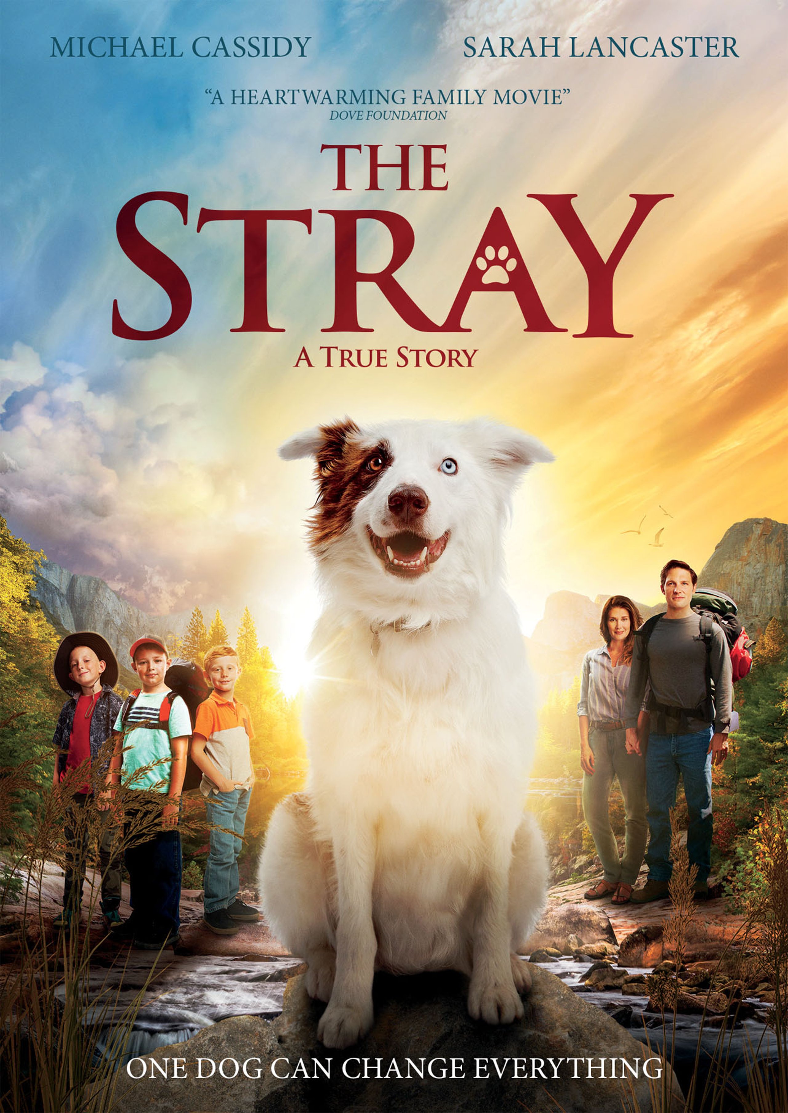 TheStray_PosterArt.jpg