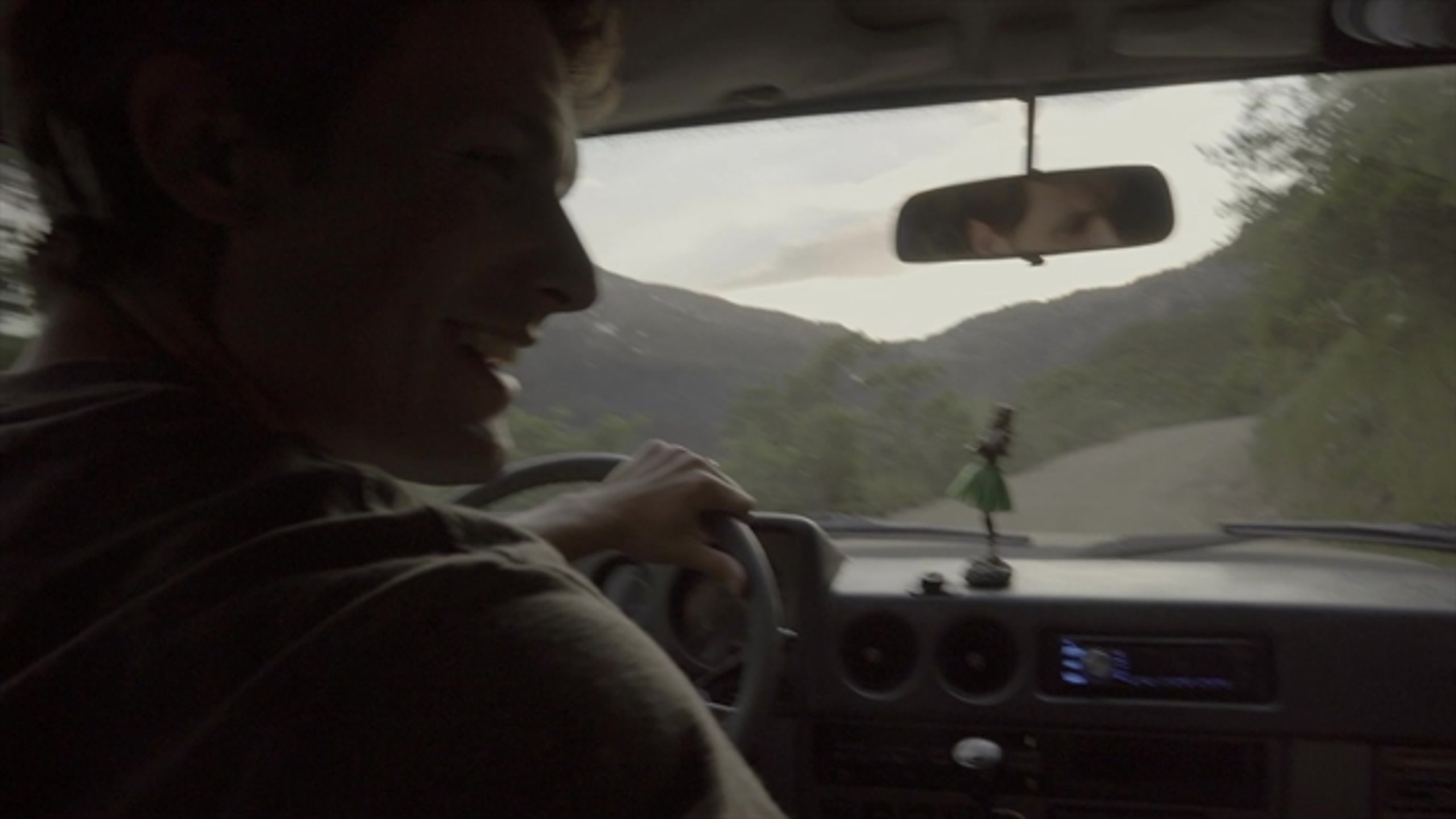 The Stray - Thumbnail