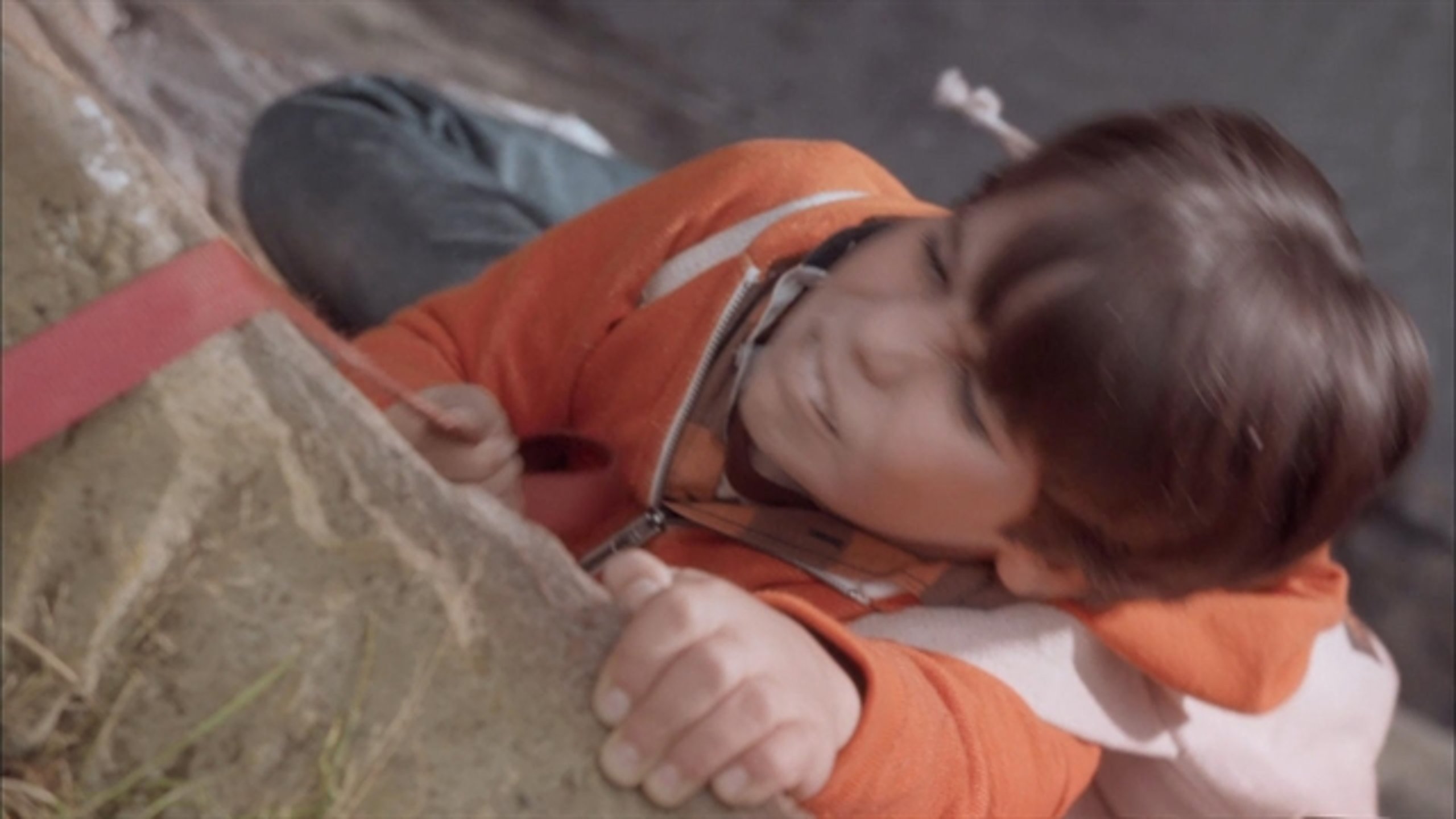 Beethoven's Treasure Tail - Thumbnail