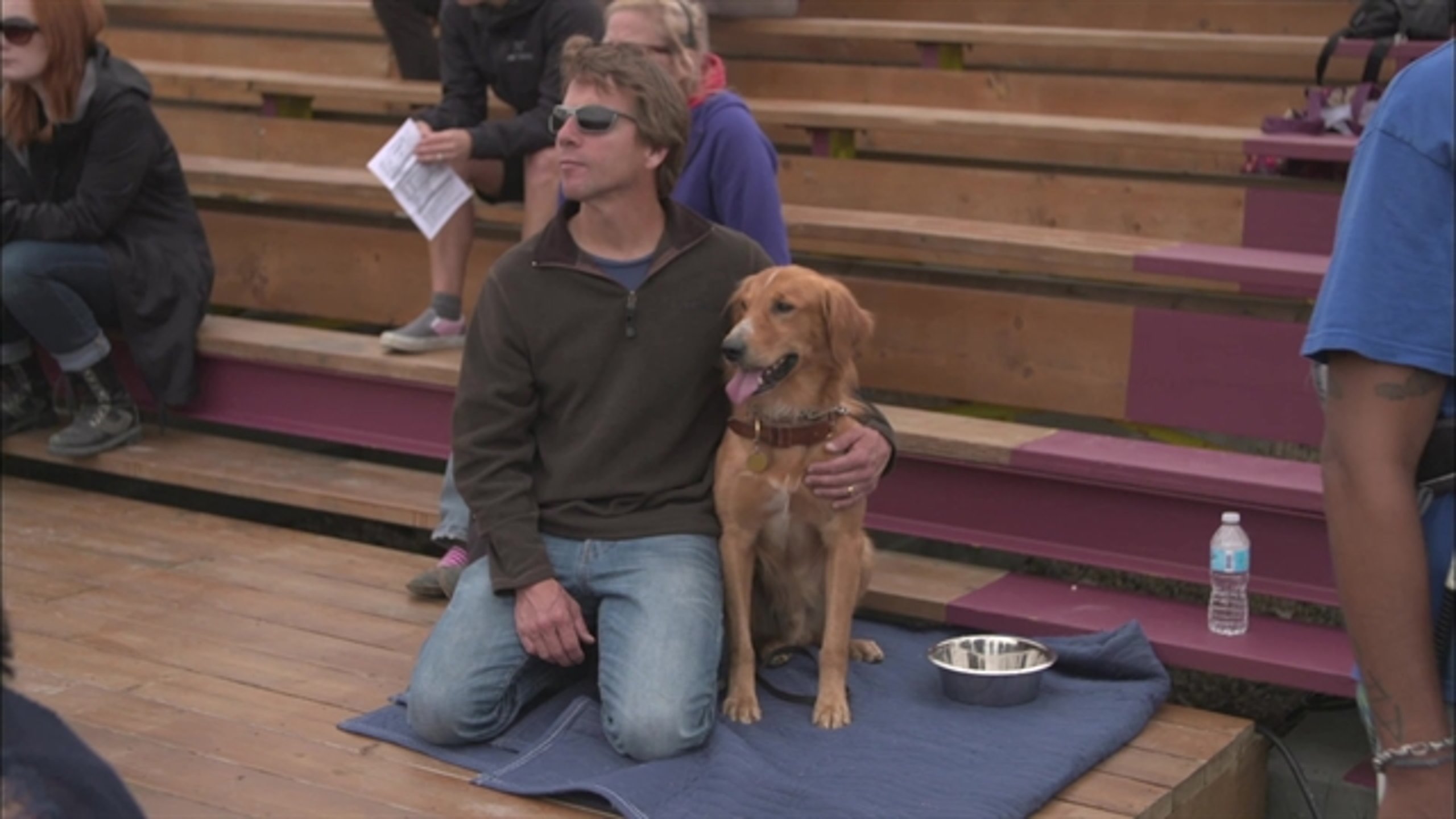 A Dog's Purpose - Thumbnail