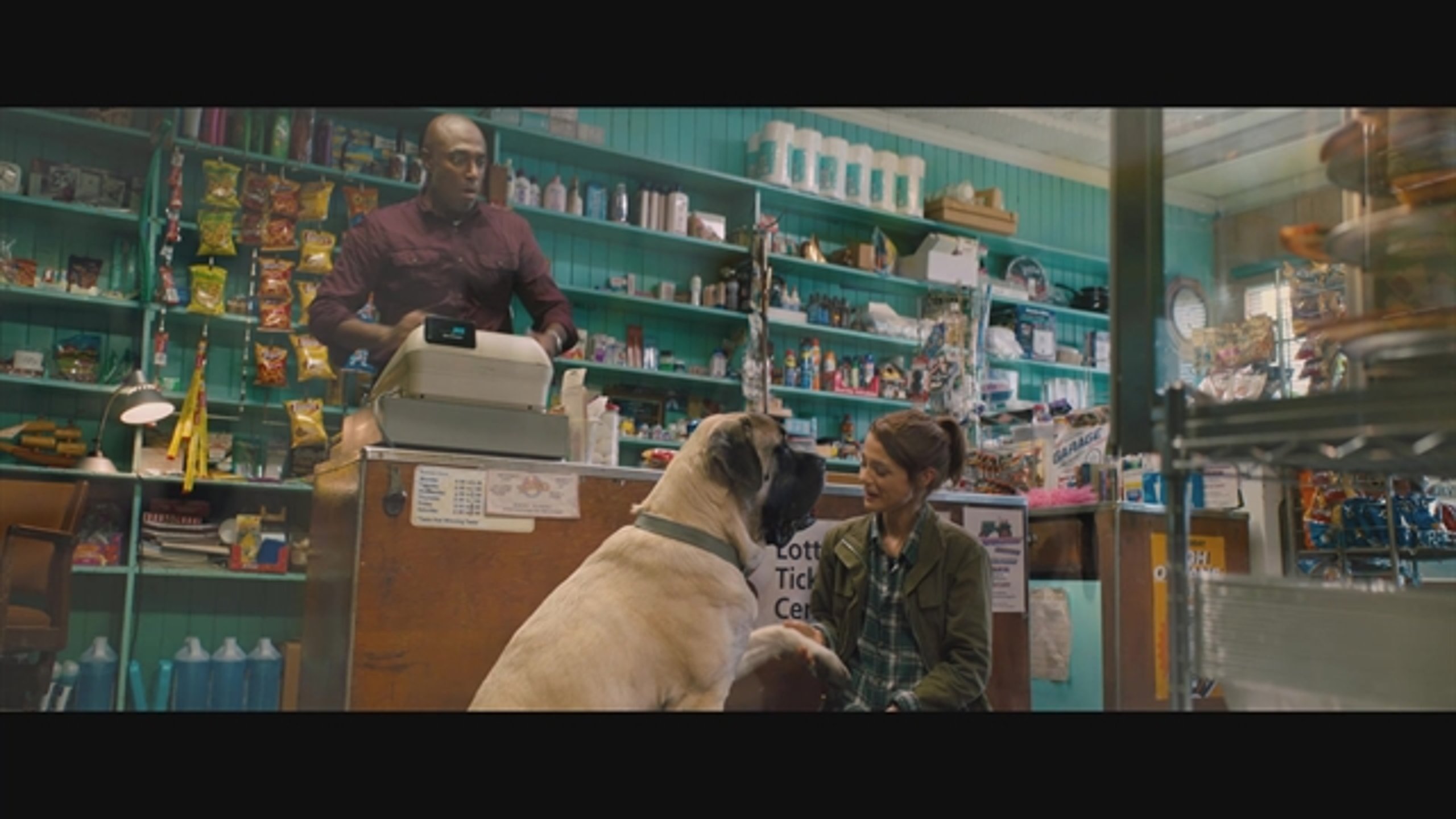 A Dog's Journey - Thumbnail