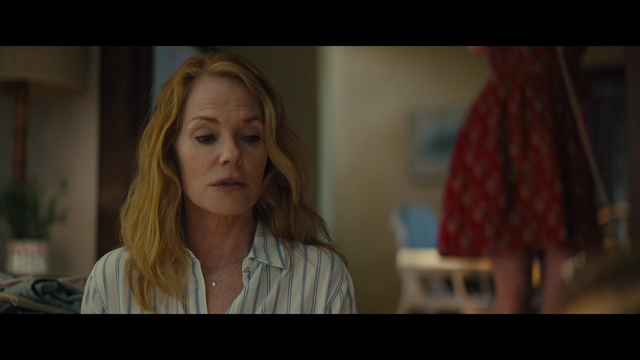 A Dog's Journey - Thumbnail