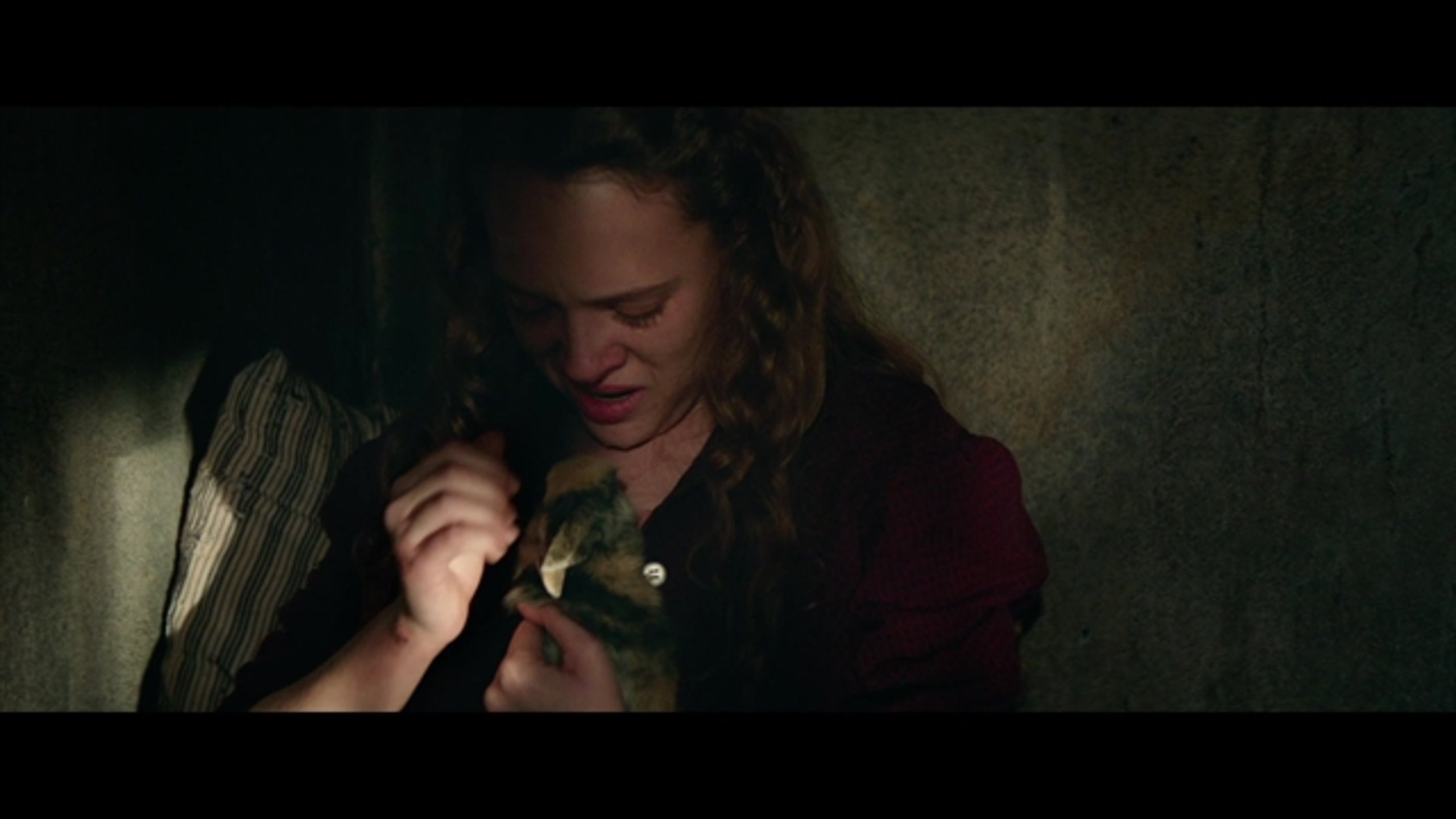 The Zookeeper's Wife - Thumbnail