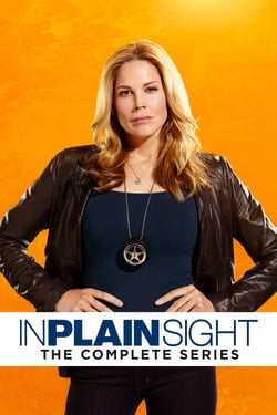 InPlainSightCompleteSeries_keyart_poster_2000x3000.jpg