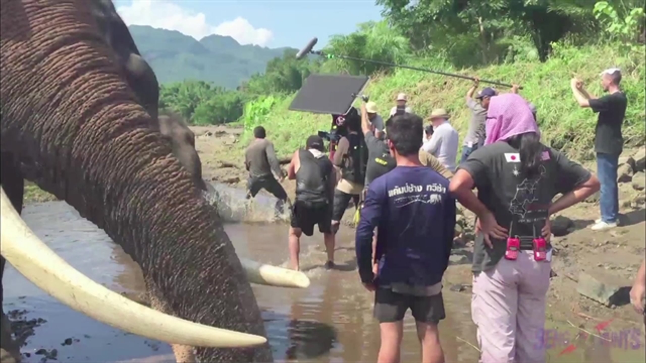 Hard Target 2 - Thumbnail