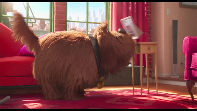 The Secret Life of Pets - Thumbnail