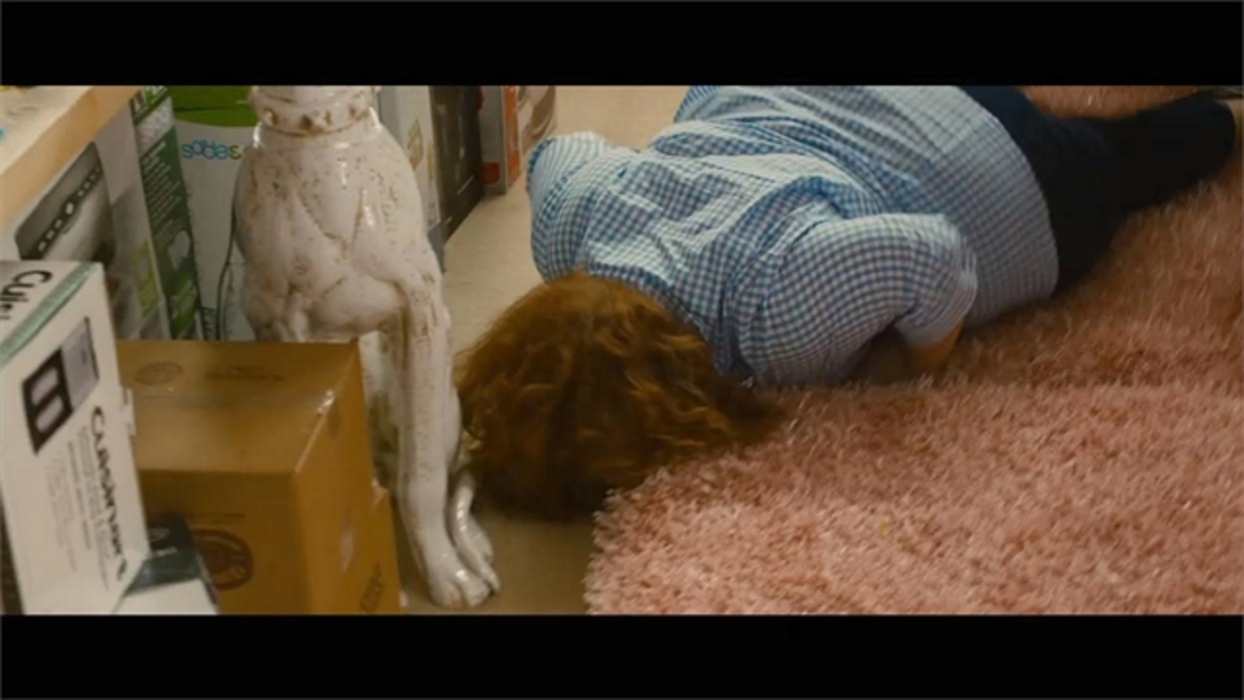 Identity Thief - Thumbnail