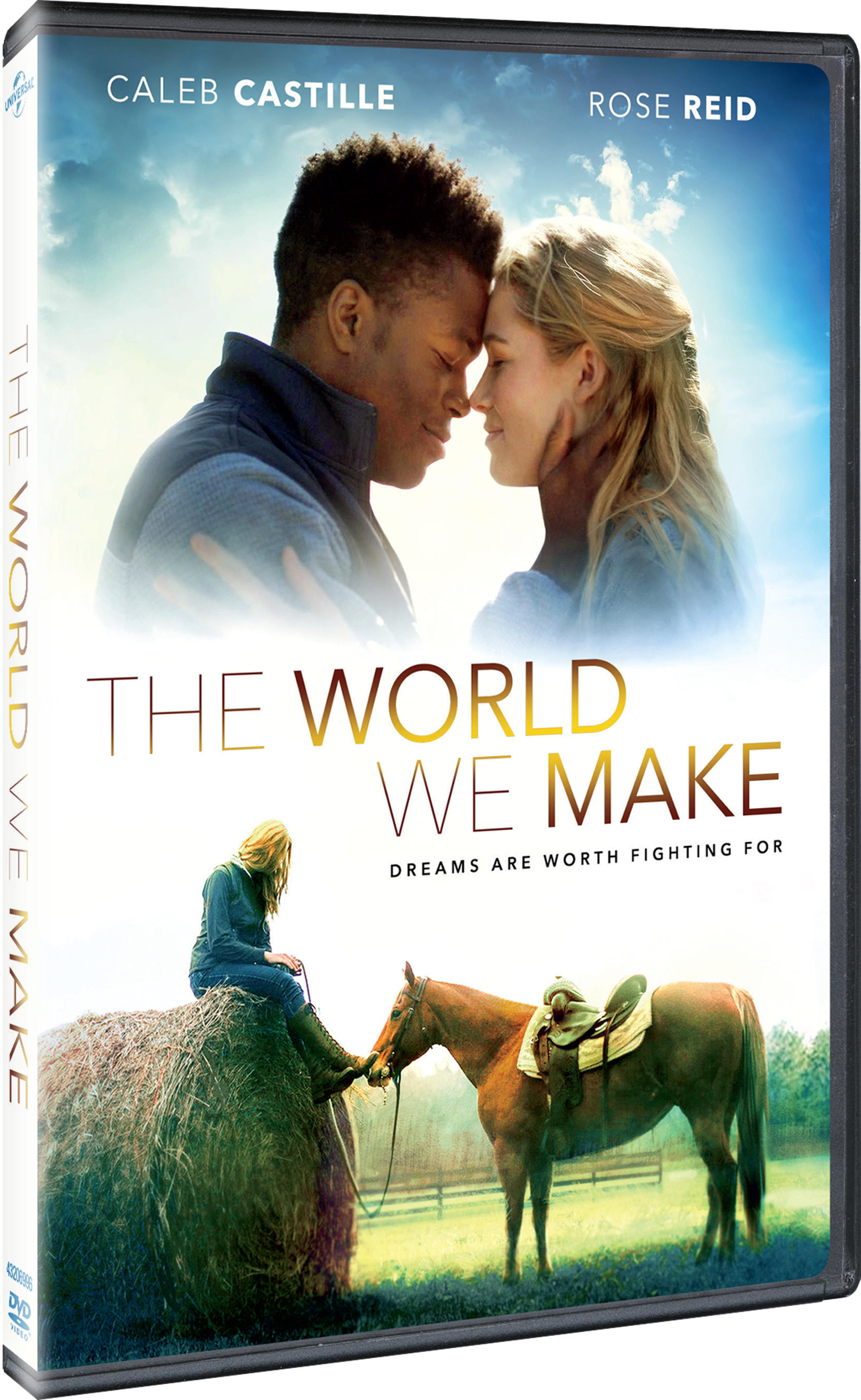 TheWorldWeMake_DVD_2D_191329106877.png