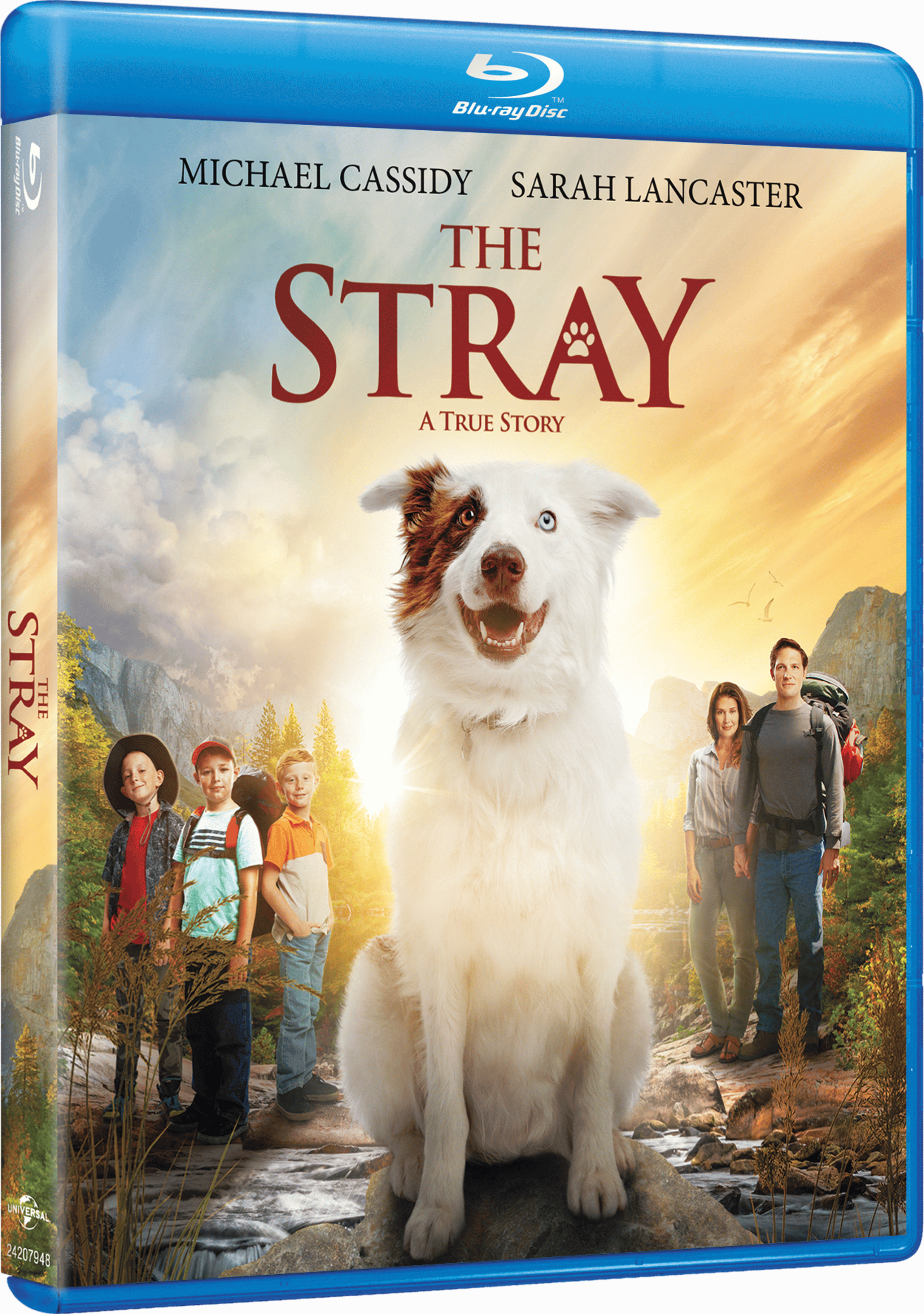 TheStray_BD_3D_191329113806.png