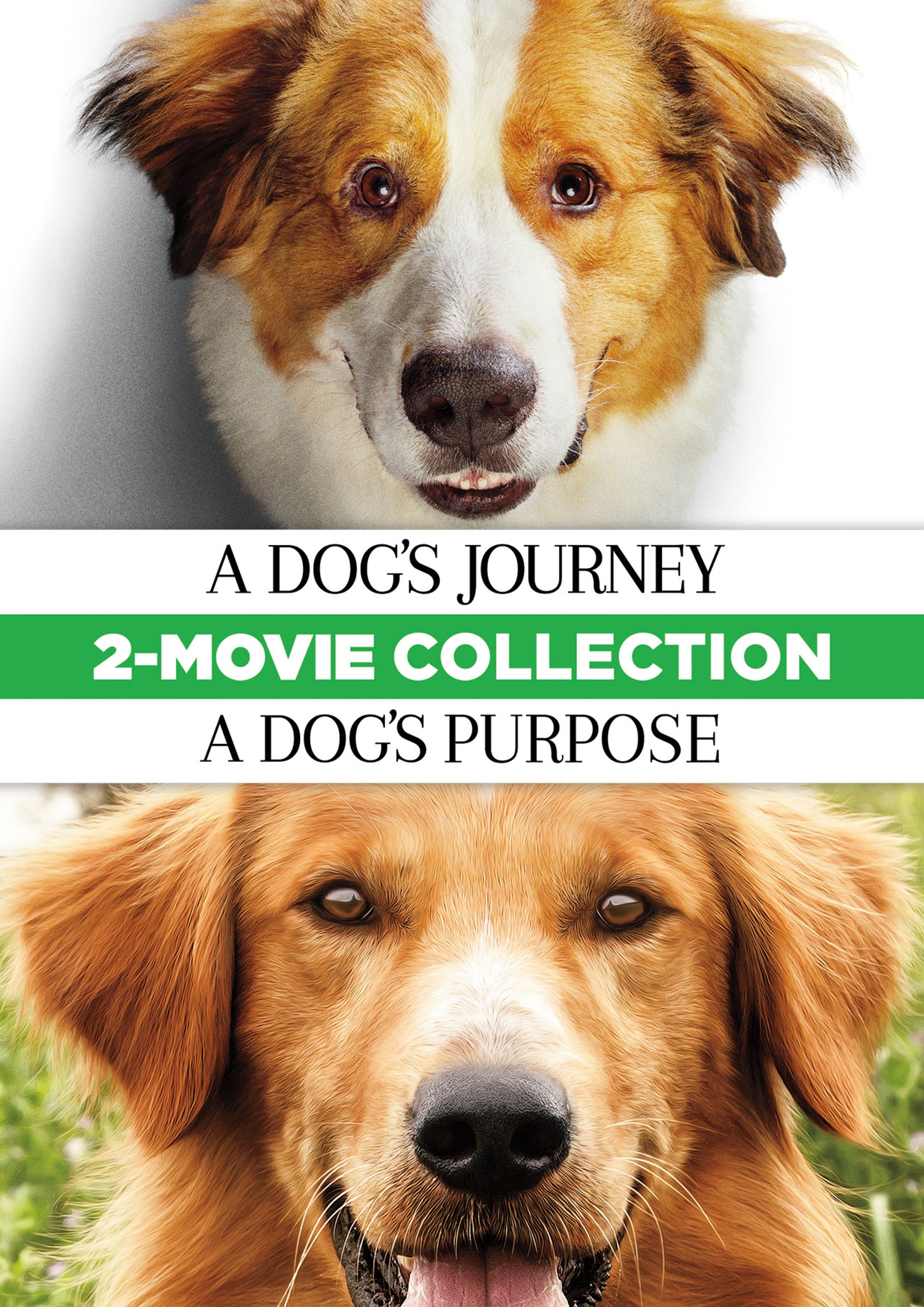 ADogsJourneyADogsPurpose2MovieCollection_Poster.jpg