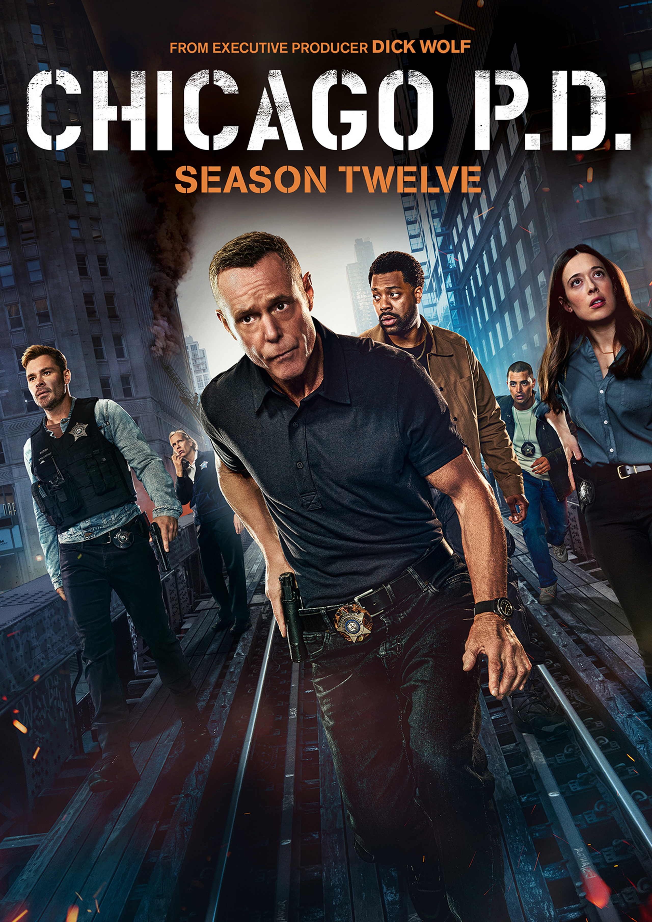 ChicagoPDSeasonTwelve_Poster.jpg