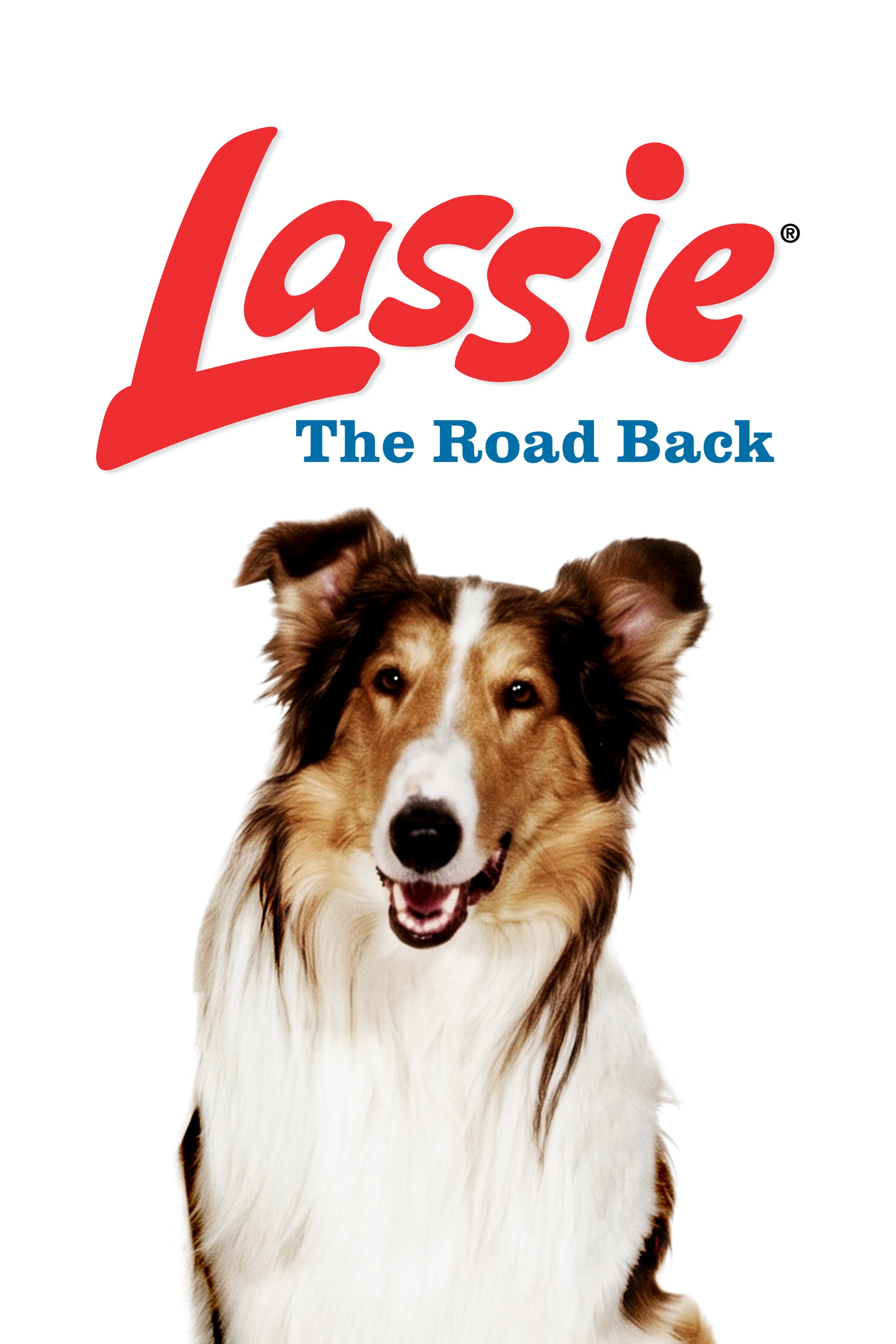 LassieTheRoadBack_keyart_poster_2000x3000.jpg