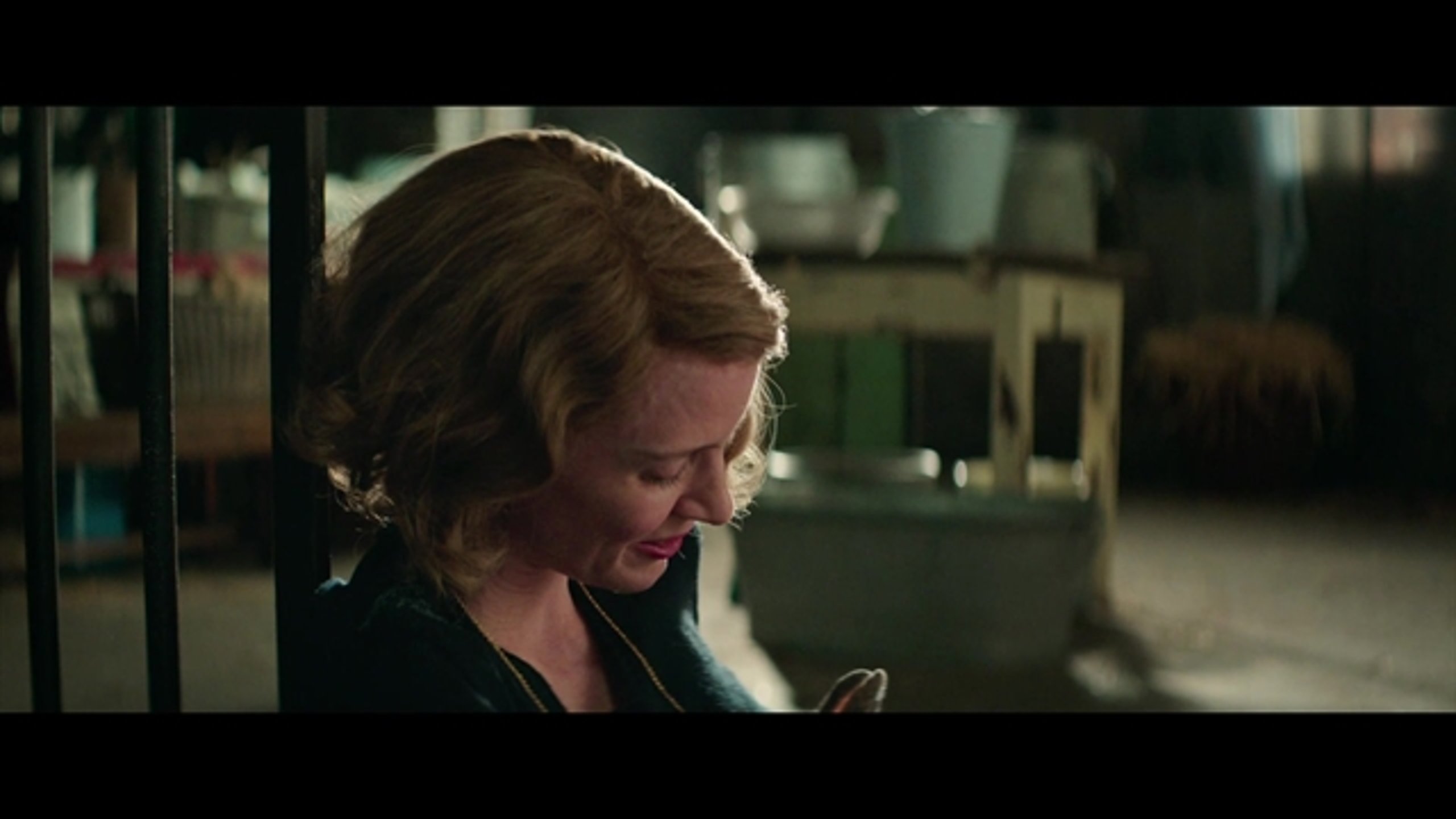 The Zookeeper's Wife - Thumbnail