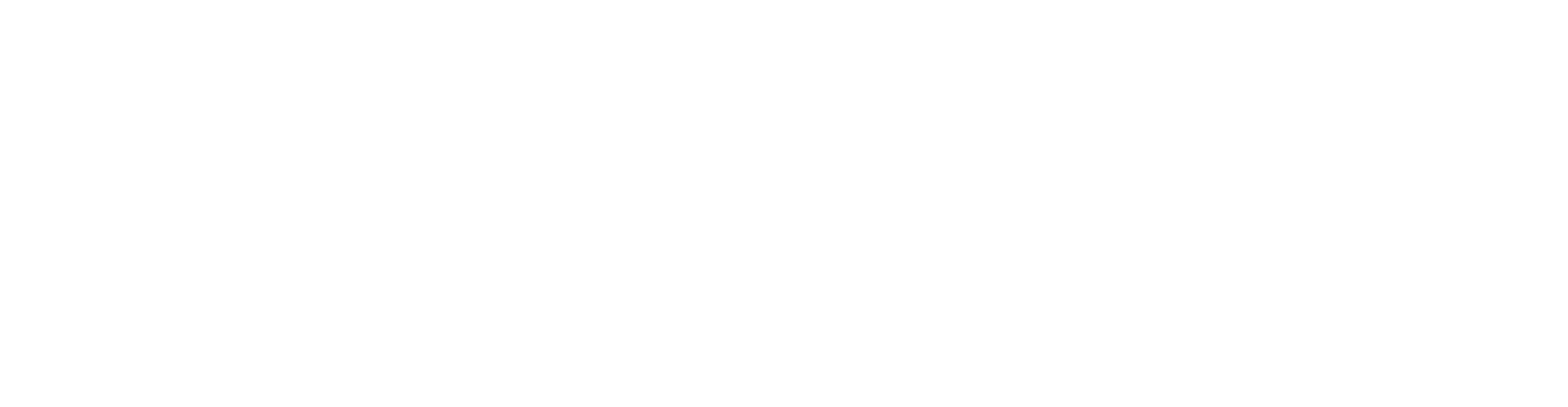 Row8_Logo_White_retailer.png
