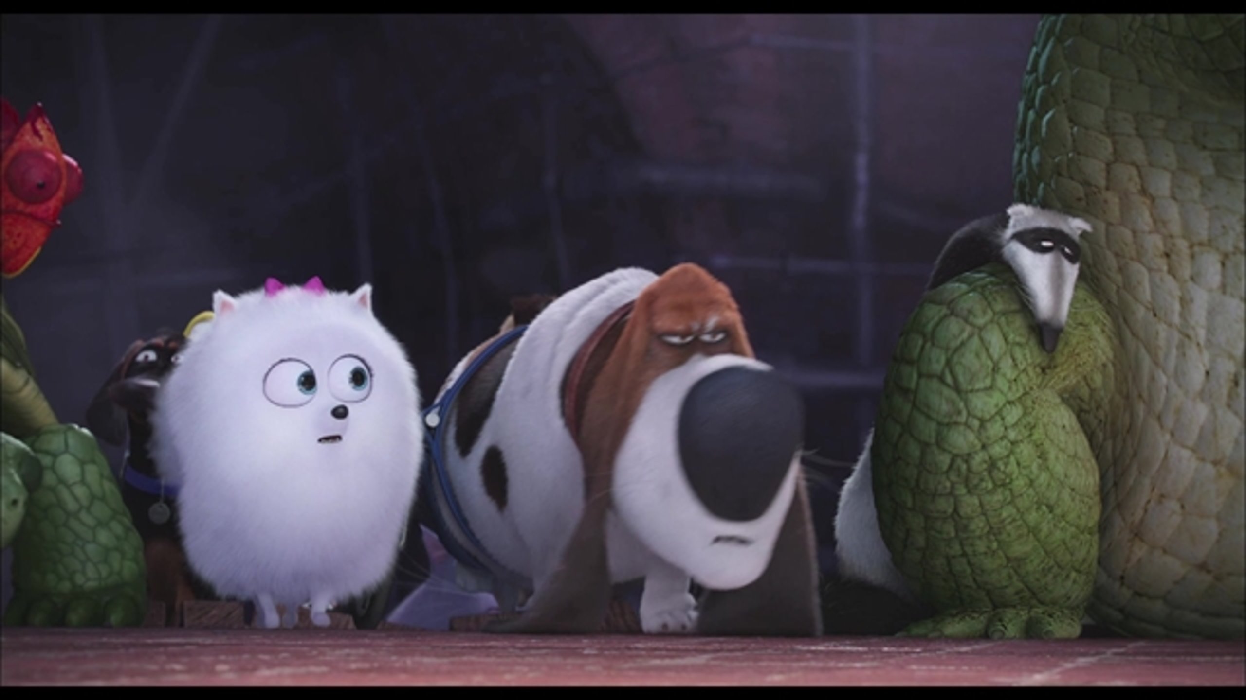 The Secret Life of Pets - Thumbnail