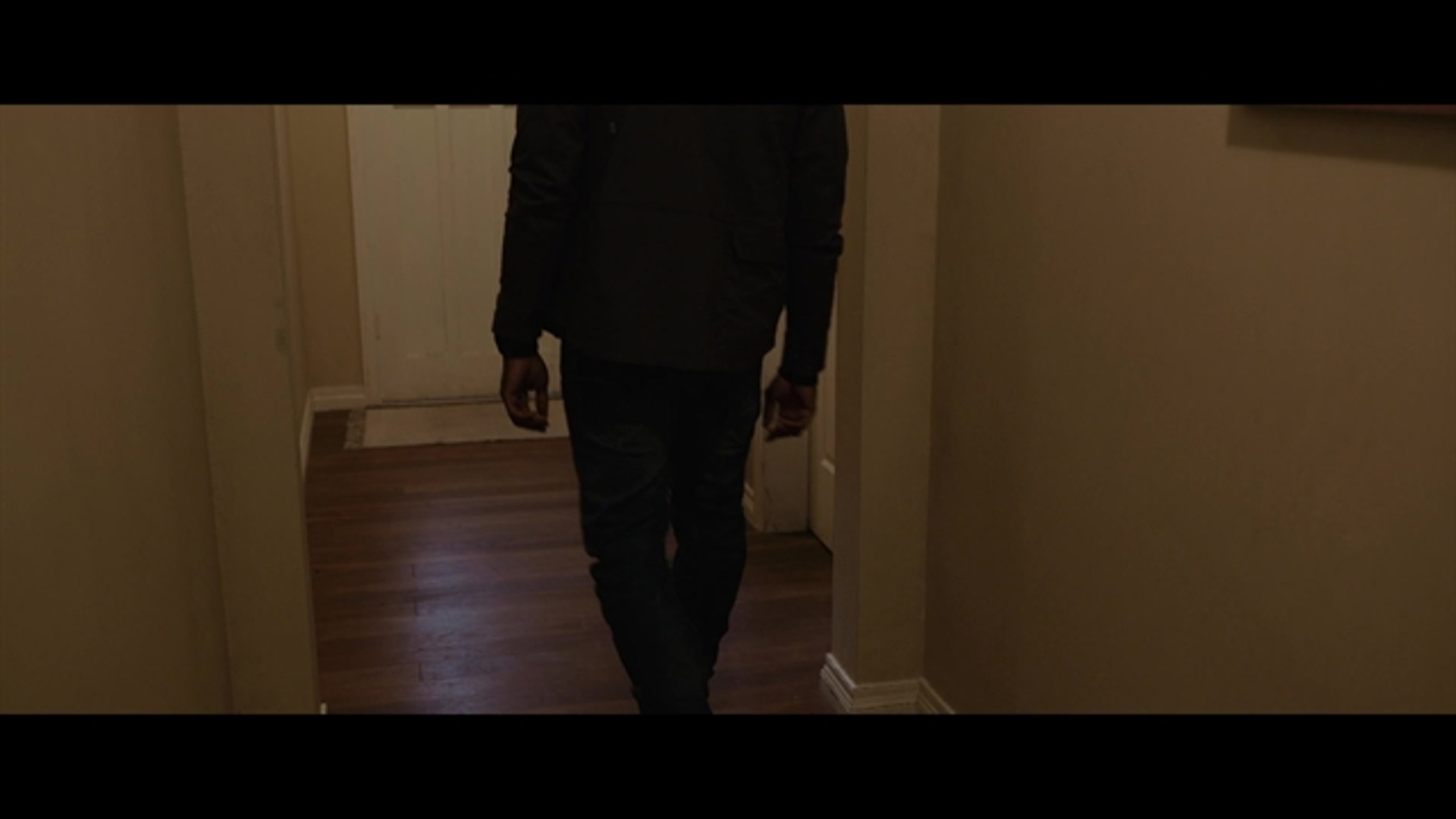 The Invisible Man (2020) - Thumbnail