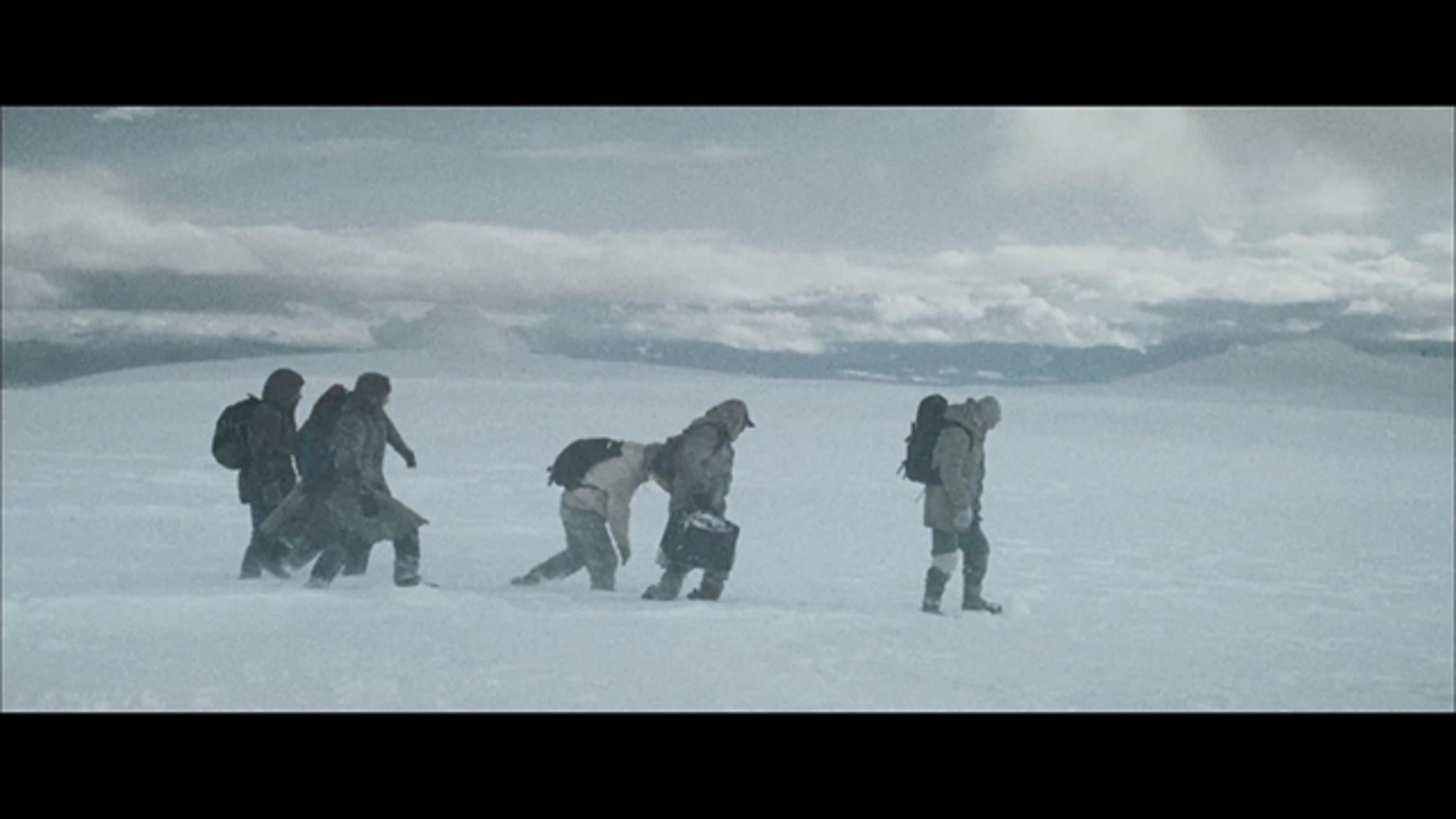 The Grey - Thumbnail