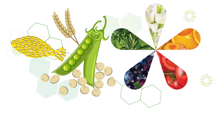 BTraining-2025-Jul-1_p2.png