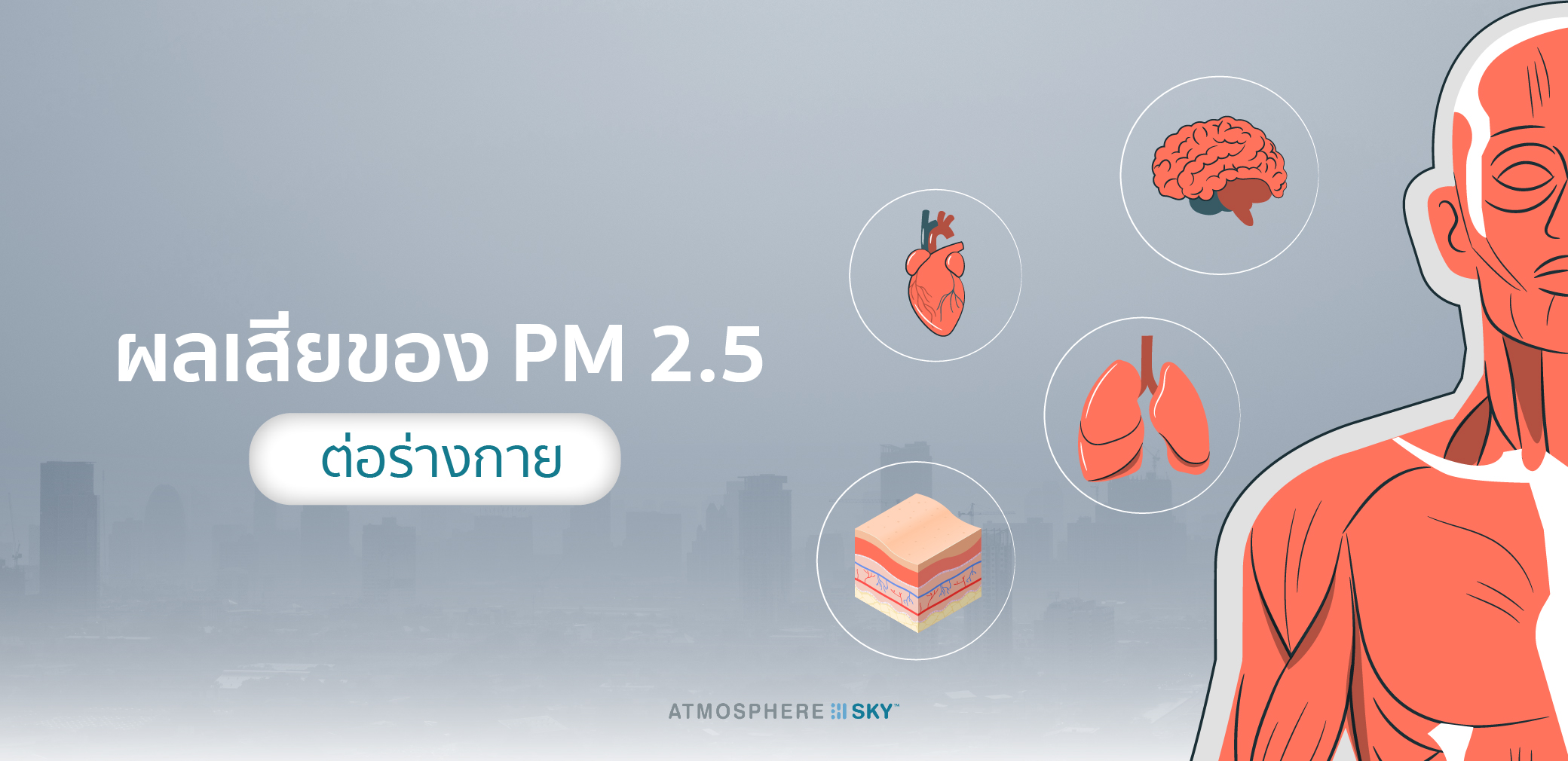 ผลเสียของ PM 2.5 ต่อร่างกาย