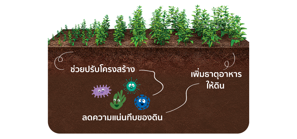 1p1_Agriculture_p62_Feb23.png