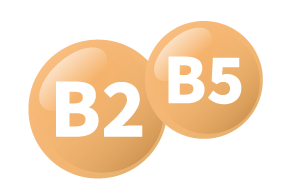 Health_2024_sep_p22_icon4_14.png