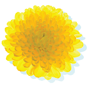 health-2025-jun-33_icon4.png