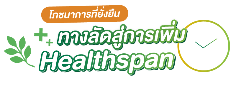 BTraing-2025-jun-19_p2-1.png