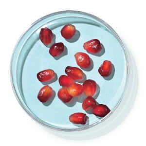 health-2025-jun-33_icon2.png