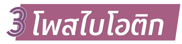 Health_2024_sep_p22_no3.png