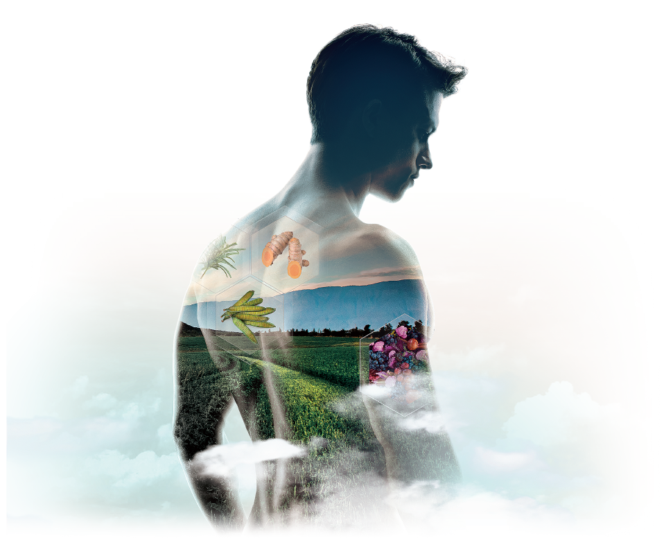 Health-2025-jun_11.png