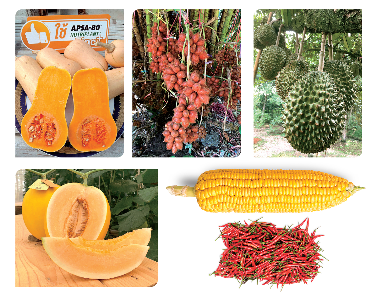 agriculture_oct21_fruit.png