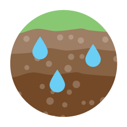 Plant_May2022_icon_09.png