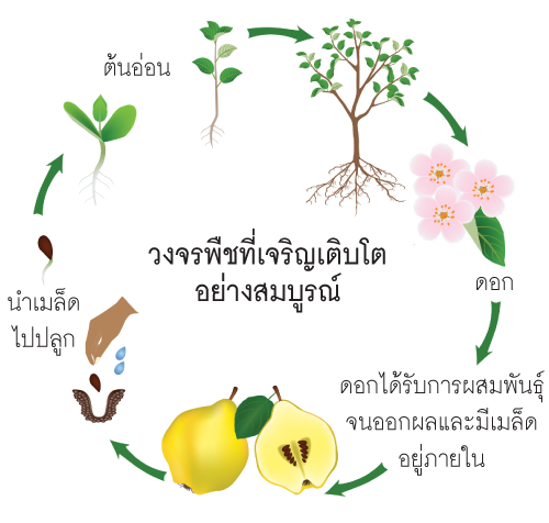 2cycle_Agriculture_p62_Feb23.png