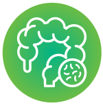 Health_2024_sep_p22_icon1_11.png