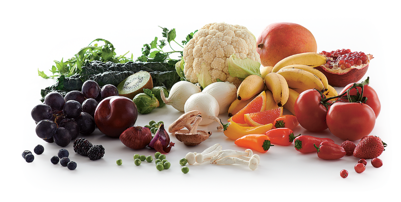 Health-2025-jun_24.png