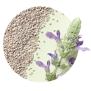 health-2025-jun-33_icon3.png