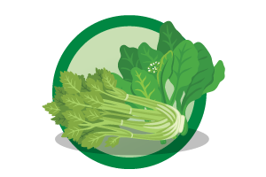 3_icon4_Health_p31_mar2024.png