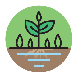 Plant_May2022_icon_04.png