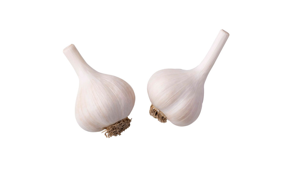 Garlic-2.jpg