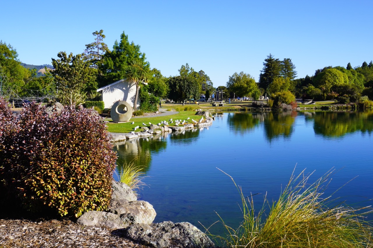 Kuirau_Park_mudpools_Large.jpeg