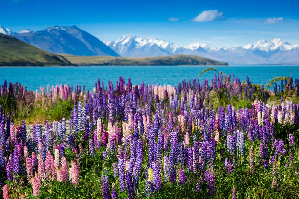 New Zealand’s Top Five Most Instagrammable Spots