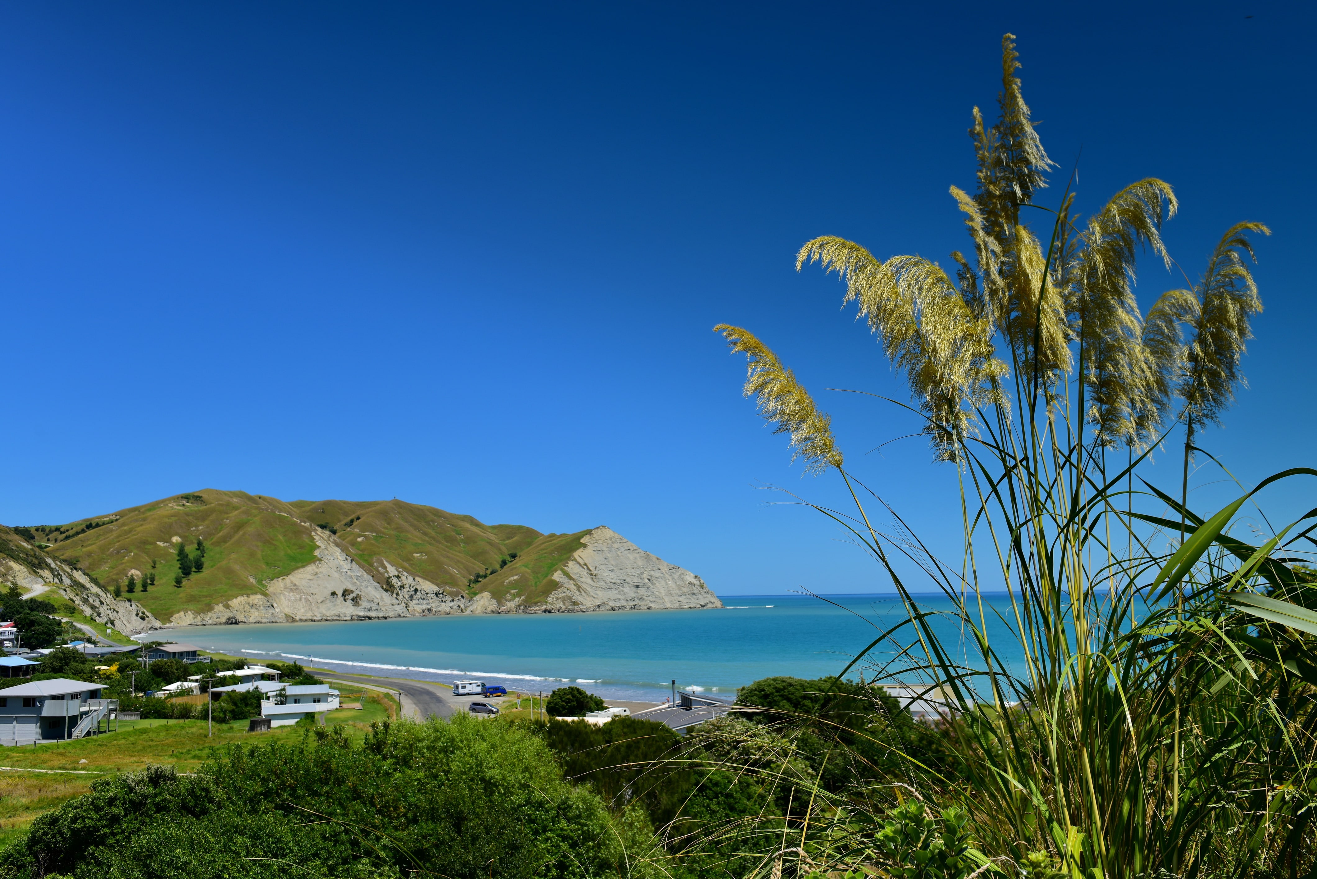 shutterstock_1400616416-min.jpg