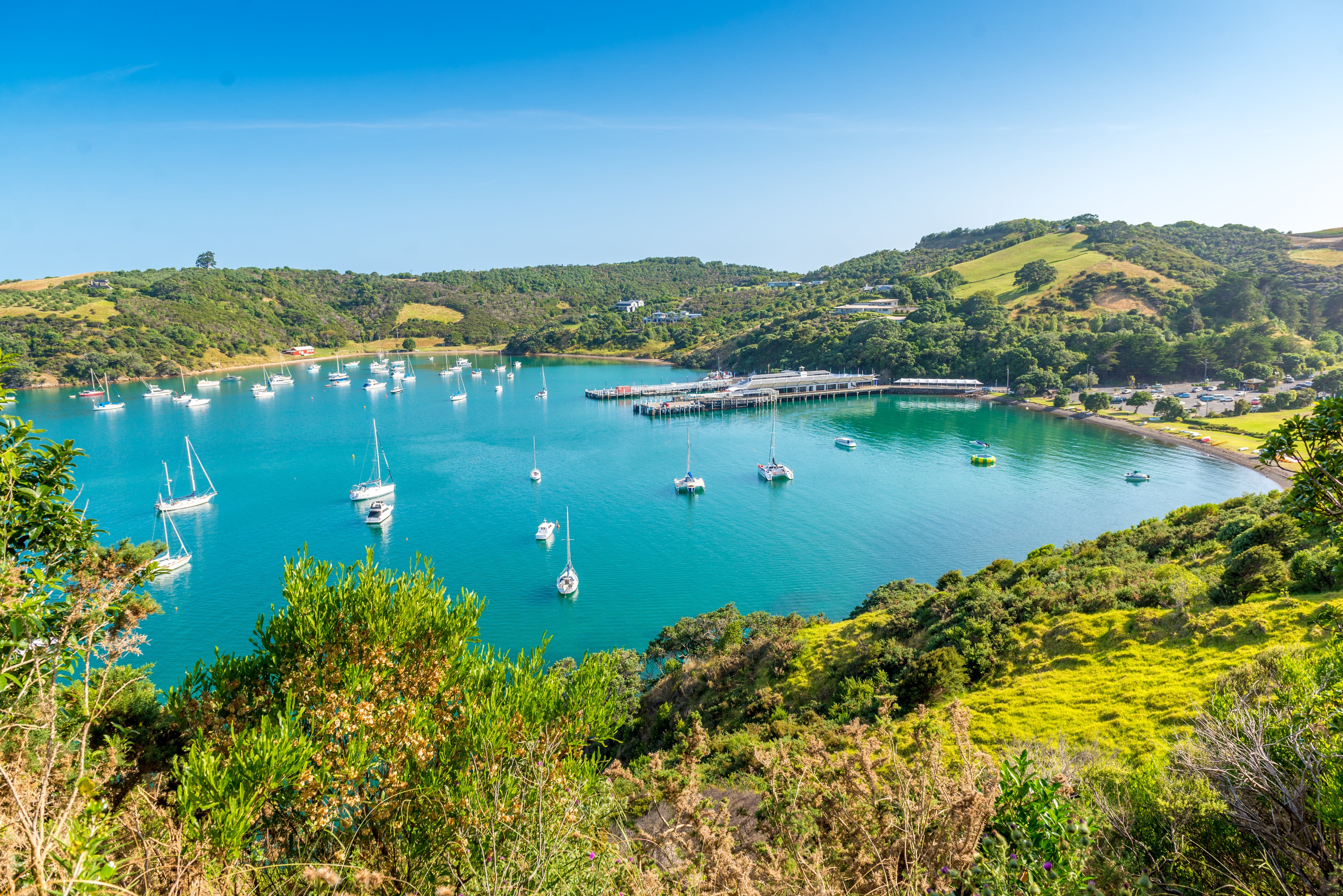 shutterstock_172736918-min.jpg