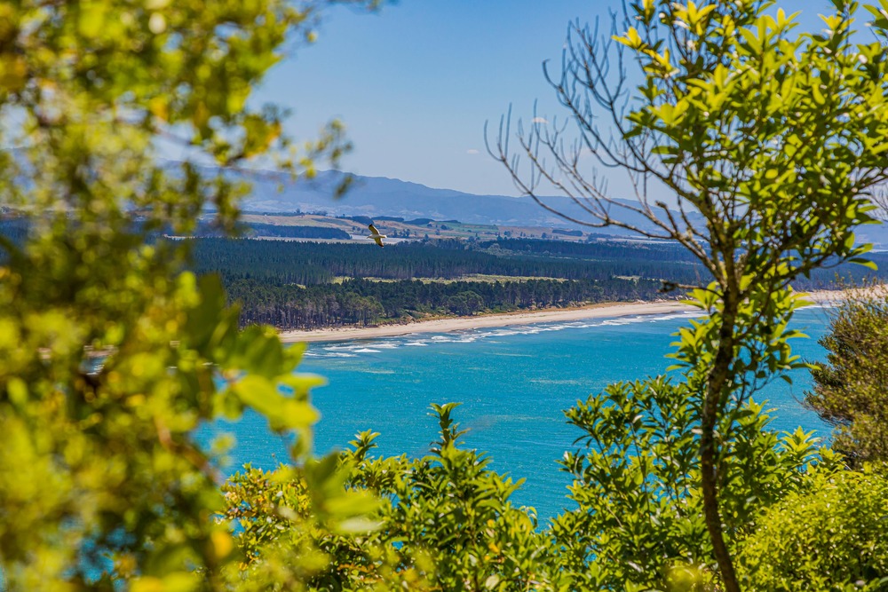 SEO_COMPRESSED Matakana_shutterstock_1592255221-min_1000x667.jpeg