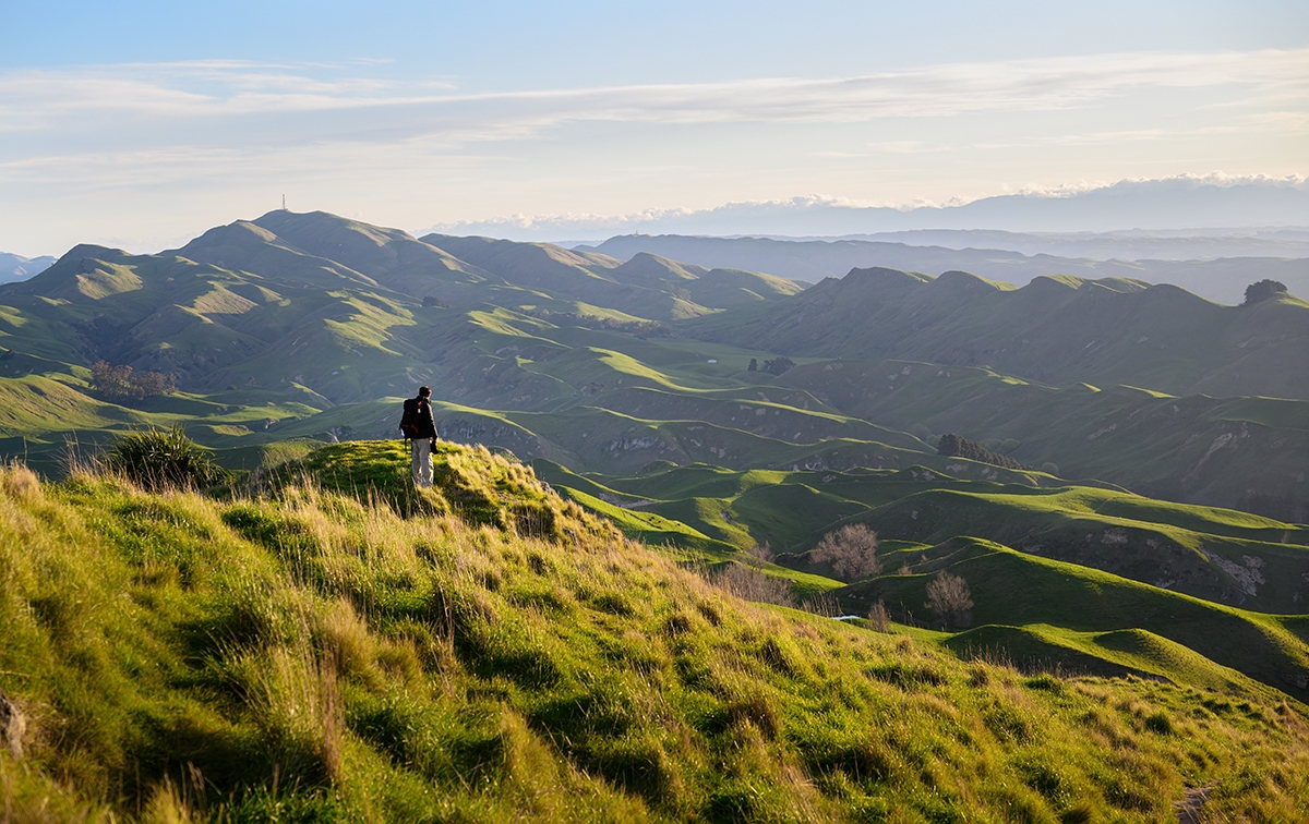 People_walking_or_biking_along_Hawke’s_Bay_Trail_(1).jpg
