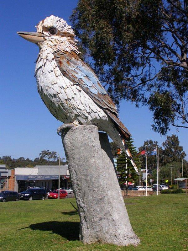 Kurri_Kookaburra_-33447-21772.jpg
