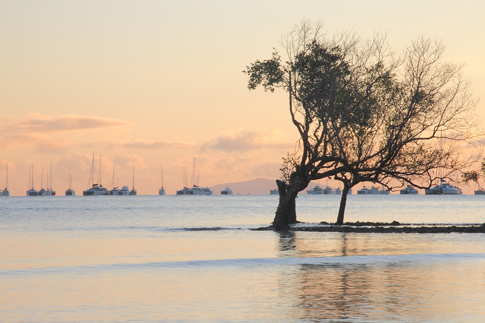 Airlie Beach Day Trip Itinerary: Paradise on a Budget