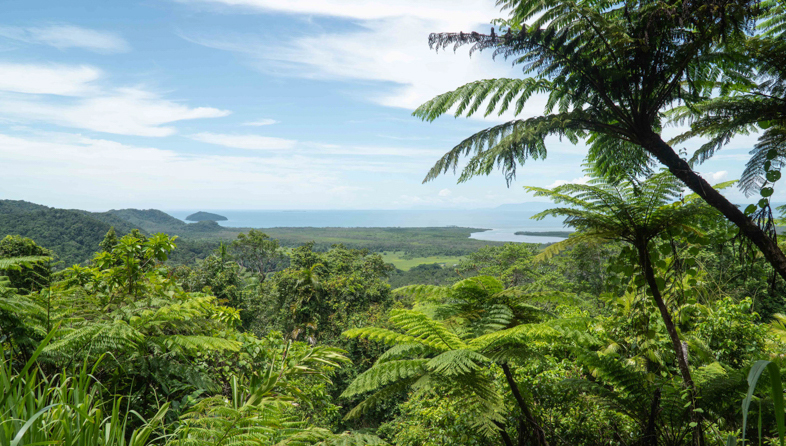 Alexandra Lookout_shutterstock_2070593069_786x446.jpeg
